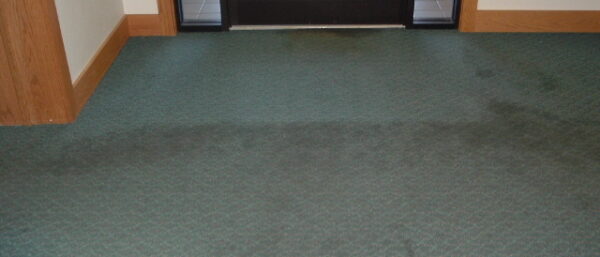 Modern commercial office interior with clean carpet
